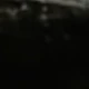 الأسود