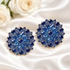 2pcs Blue