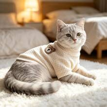 1PC Pet Waffle T-Shirt, Cute Bear Embroidered Back Decoration Pet Plush T-Shirt, Soft Casual Clothing Suitable For Small And Medium-Sized Dogs And Cats - Khaki - View 5