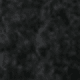 S1B