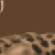 多色