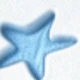 Whale Shark-white/Blue
