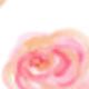 Multi-color - Watercolor Rose