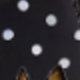 彩色