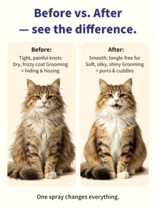 GJYC PET Cat Detangling Spray For Long Hair Cats – Keratin Leave-In Conditioner Softens & Prevents Tangles – Dematting Spray For Matted Fur, Gentle No-Rinse Formula, 3.38 Fl Oz - one-size - View 7