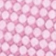 Watermelon Pink