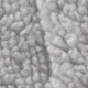 Gris pâle