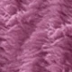 Lilac Purple