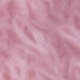 彩色