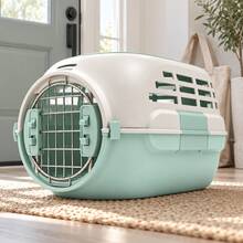 Cat And Small Pet Carrier Box With Carry Handle And Double Doors, For Car Journeys, Outings And Camping, Two Colours - Mint Green - View 1
