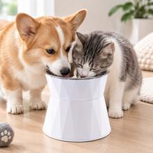 1 Set Non-Slip Stainless Steel Pet Bowl With Raised Stand To Protect Neck, Tilted Design To Prevent Spillage And Bloating, Suitable For Cats And Dogs, Comfortable Height To Promote Healthy Eating - 500ml - View 10