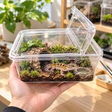 2pcs Reptile Breeding Box For Amphibians, Snails, Spiders, Geckos, Horned Frogs, Large Turtle Tank With Hide And Decor - Multicolor - View 1