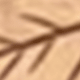 彩色