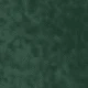 Dark Forest Green