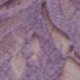 Lilac Purple