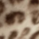 Beige Leopard Print