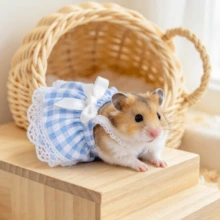 1pc Cute Mini Handmade Lace Dress, Suitable For Chipmunk, Guinea Pig, Hamster And Other Small Pets; Christmas, New Year Party Pet Dress, Pet Cosplay Dress, Photo Prop Decoration - Multicolor - View 5