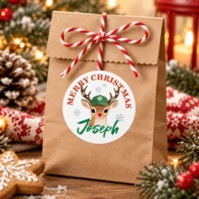 Custom Reindeer Christmas Stickers, Personalized Name Gift Labels, Festive Red & Green Round Stickers For Gift Boxes, Bags & Holiday Party Favors, Customized Name Christmas Labels, Customizable Gift Seals For Family & Friends 2026, Merry Christmas - Multicolor - View 6