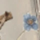 متعدد الألوان