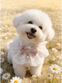 Adjustable Lace Pet Collar, Satin Bow & Pearl Pendant Style - Elegant Princess Design Cat/Dog Bib, Soft Ruffled Neck Accessory For Small Pets, Suitable For Photo Shoots, Outfits And Daily Wear - White - View 4