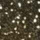 T008