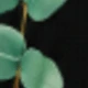 Multicolor
