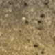 T007