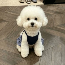 1pc Breathable Dog Tank Dress, Anti-Shedding Tank Top For Small Dogs And Cats, Dropshipping - Blue - View 5