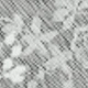 trắng
