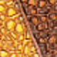 Yellow-brown
