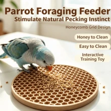 Parrot Foraging Feeding Toy Tiger Cockatiel Budgie Interactive Anti-Spill Food Box Bird Enrichment Training Supplies - 1L - View 3