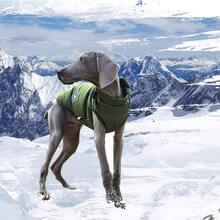 1pc Winter Dog Coat With Adjustable Chest Strap, Zipper, Polyester Filling, Suitable For Small And Medium Dogs - Green - View 5