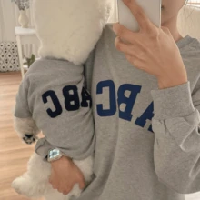 1pc Pet Letter Thermal Lined Sweatshirt, Dog Clothes Cat Clothes Small And Medium Dogs Pet Apparel - Black - View 8