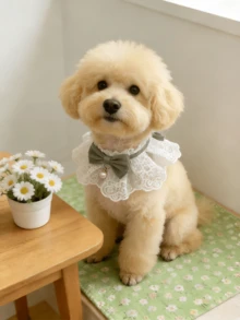 Adjustable Lace Pet Collar, Satin Bow & Pearl Pendant Style - Elegant Princess Design Cat/Dog Bib, Soft Ruffled Neck Accessory For Small Pets, Suitable For Photo Shoots, Outfits And Daily Wear - White - View 8