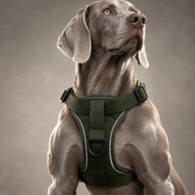 Tactical Dog Harness Anti-Pull Pet Vest, Heavy Duty K9 Harness With Easy-Control Handle, Breathable Military Dog Vest, Reflective Adjustable Training Harness, Suitable For Medium And Large Dogs - Multicolor - View 22