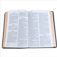 Religion & Spirituality - Single Book - View 5