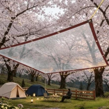 1pc Heavy Duty Transparent Waterproof PE Tarp With Grommets, Rope And Straps, UV Resistant, Wind And Rainproof, Suitable For Patio, Greenhouse, Camping, Construction - transparent - View 9