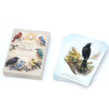 The Spiritual Meaning Of Birds Oracle Deck, Bird Pattern Oracle Cards Set, Vintage Art Guidance Divination Game Cards For Beginners & Collectors - Multicolor - View 6