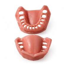 Gingival Model, 1:1 Scale Gingival Display Model, Detachable Matching Denture Model Display Model, Oral Anatomy Learning And Demonstration Tool, Oral Dental Practice Model, Collection Model, Hall Display Model, Desktop Display Material. - Multicolor - View 4
