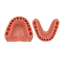 Gingival Model, 1:1 Scale Gingival Display Model, Detachable Matching Denture Model Display Model, Oral Anatomy Learning And Demonstration Tool, Oral Dental Practice Model, Collection Model, Hall Display Model, Desktop Display Material. - Multicolor - View 8