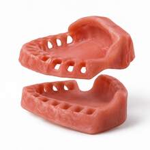 Gingival Model, 1:1 Scale Gingival Display Model, Detachable Matching Denture Model Display Model, Oral Anatomy Learning And Demonstration Tool, Oral Dental Practice Model, Collection Model, Hall Display Model, Desktop Display Material. - Multicolor - View 9