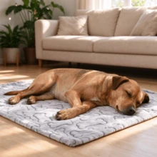 Bone Print Pet Blanket, Super Soft Plush Dog & Cat Blanket, Comfortable Wrap, 5 Sizes, Machine Washable - L: 100*160CM - View 3