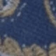 Blue Gray Paisley