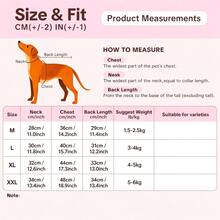 Pakaian Kucing Jerman Musim Gugur/Dingin Rompi Jaket Korduroi untuk Kucing Tanpa Bulu, Kucing Abyssinian, Kucing Siam, Nyaman dan Hangat - Putih - View 2