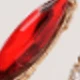 44036 Red