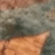 أحمر بنفسجي