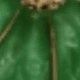 Fruit Green