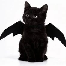 1PC Halloween Pet Devil Wings With Bell – Cat & Small Dog Festive Dress-Up Accessory, Turn Your Pet Into A Cute Little Monster For The Holiday - Halloween Pet Costume Accessories - View 1