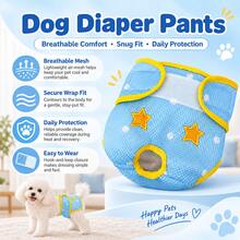 Female Dog Sanitary Panties, Breathable Mesh Fabric With Adjustable Hook And Loop, Tail Hole Design, Period & Post-Surgery Protection Pet Underwear - Multicolor - View 7