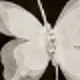 White Rhinestone Small Butterfly